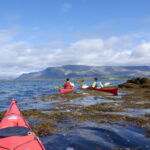 sea kayak reykjavik